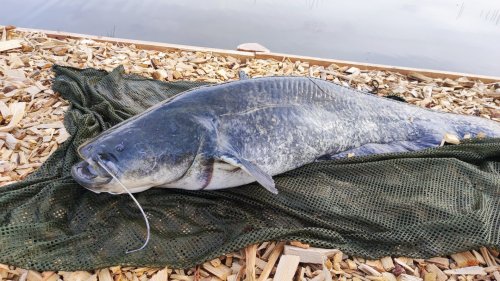 Povolenka SUMEC - 24 hodin - 2 PRUTY